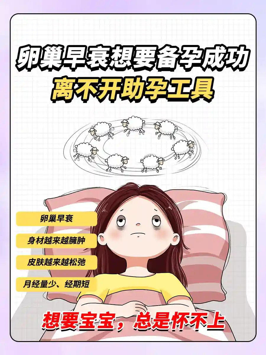 借卵生子的价格，不只是一串数字，更是希望与现实的权衡