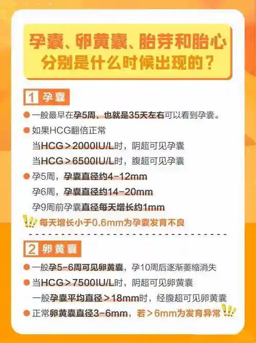 当生育时钟迫近，我们如何“借光”点亮希望？聊聊捐卵背后的科学与圆梦之旅