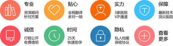 我的借卵求子路：写给2026年的家庭梦想